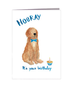 Geburtstagskarte | It's your birthday | Hund | Golden Retriever